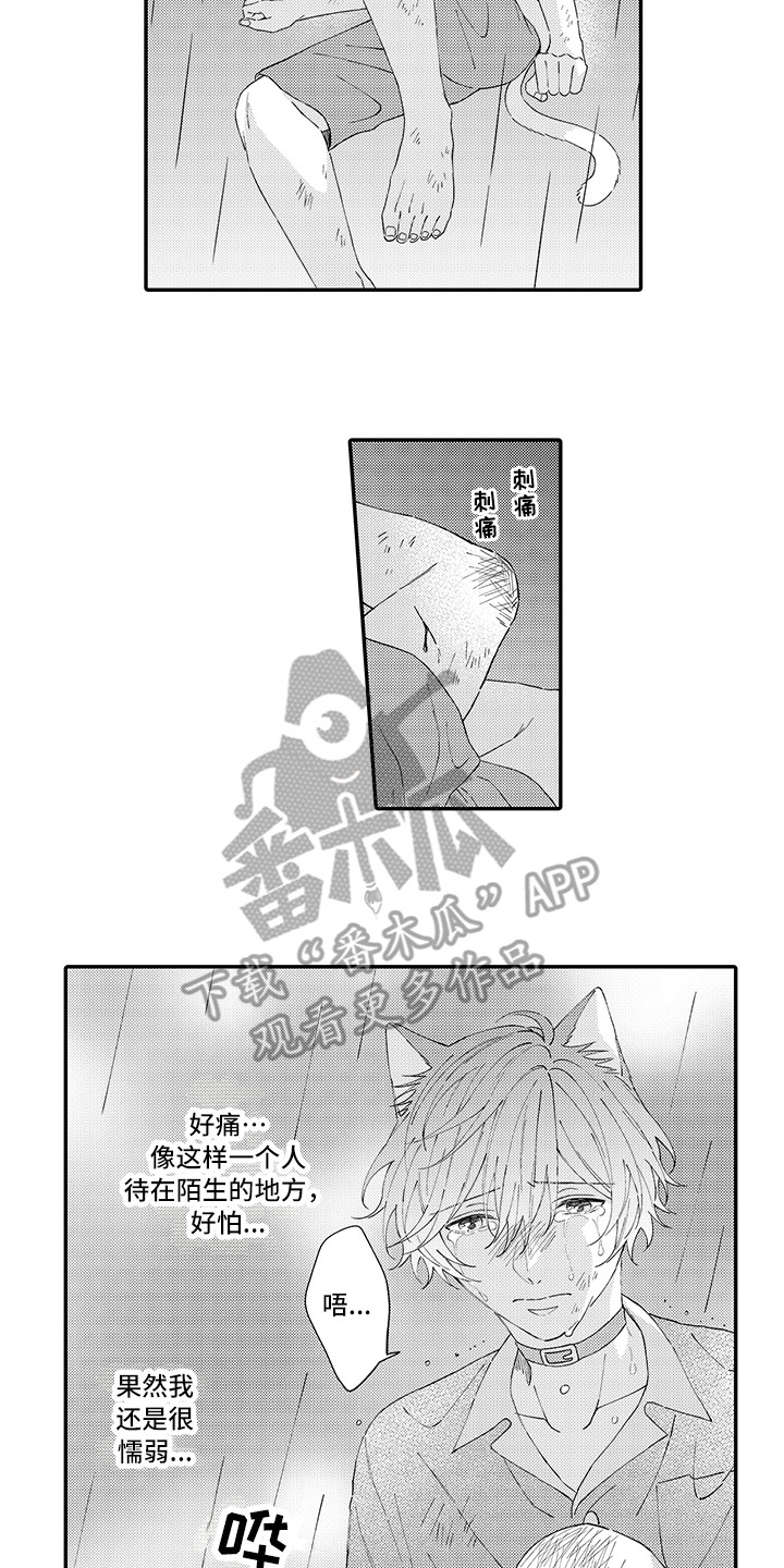 《猫咪之家》第19章急切 第7页