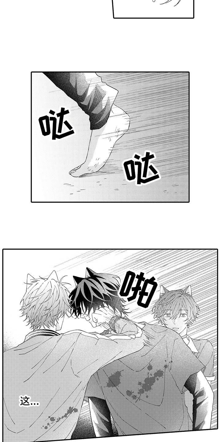 《猫咪之家》第17章保护 第10页