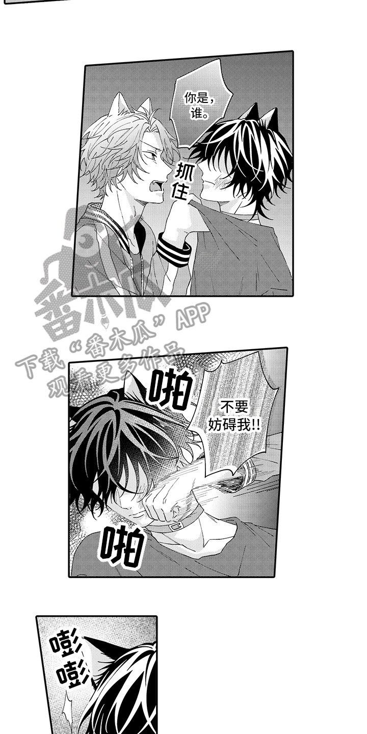 《猫咪之家》第17章保护 第11页