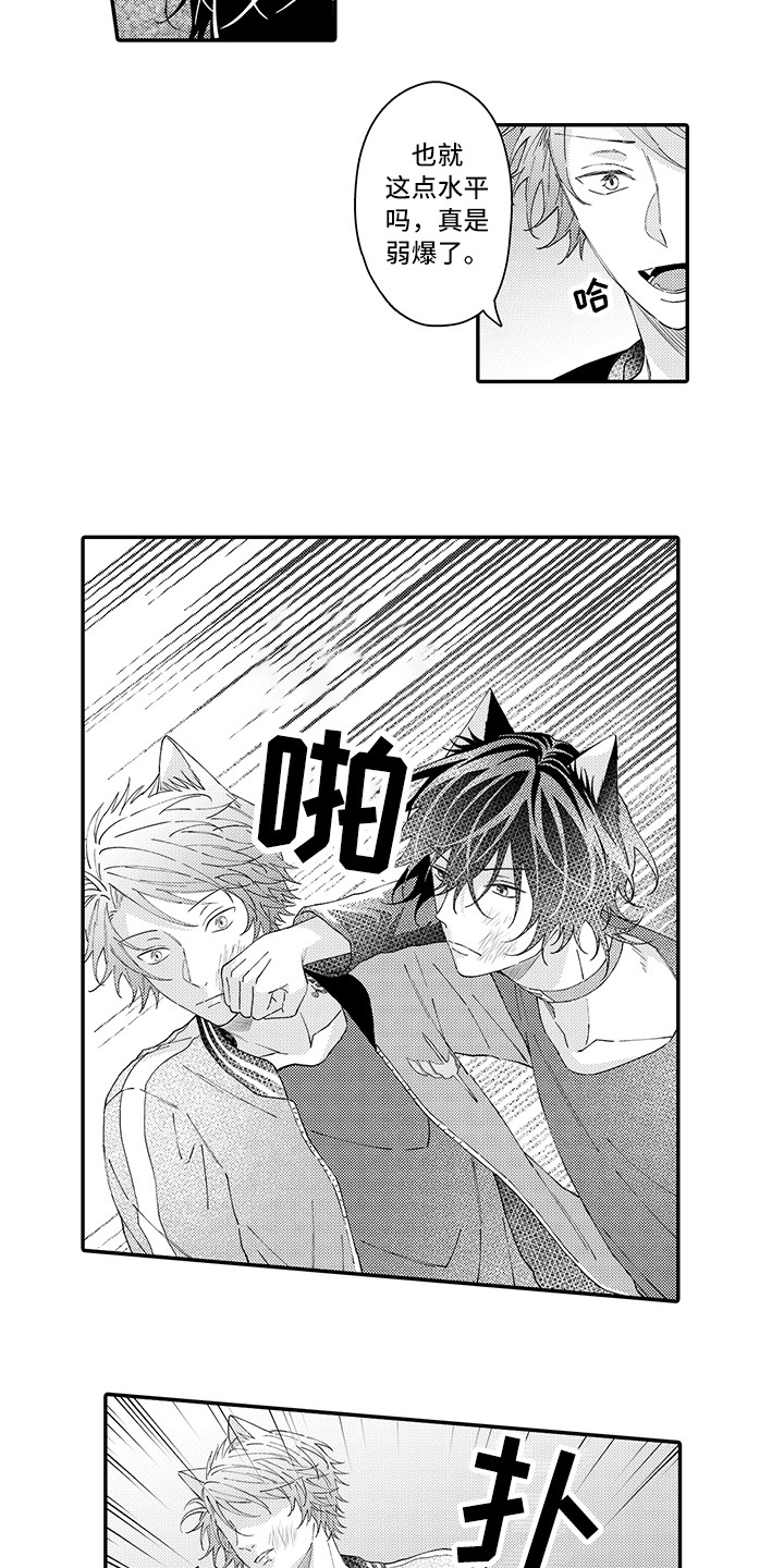 《猫咪之家》第17章保护 第12页