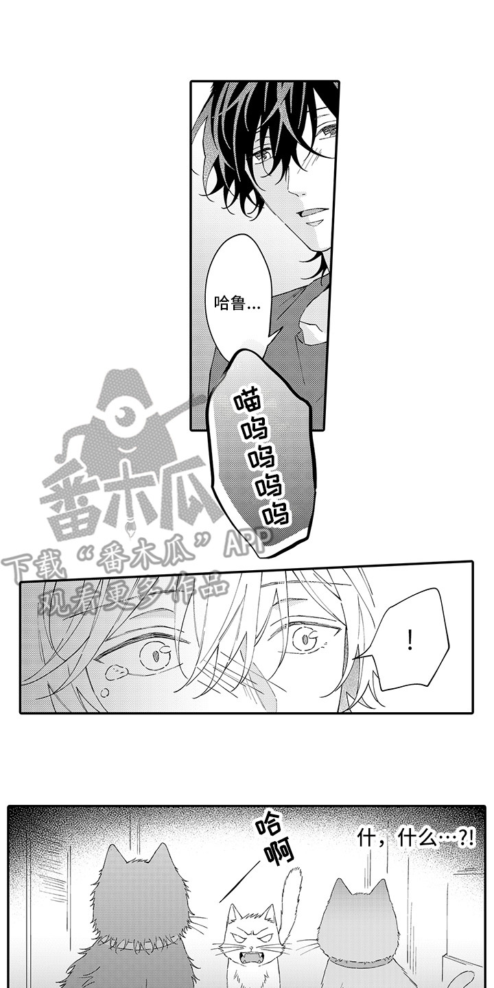 《猫咪之家》第17章保护 第1页