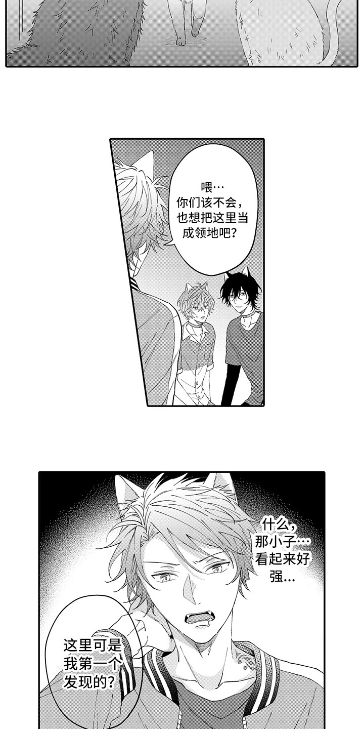 《猫咪之家》第17章保护 第2页
