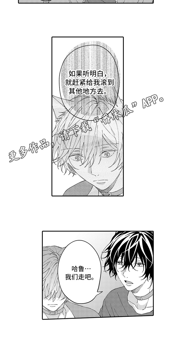 《猫咪之家》第17章保护 第3页