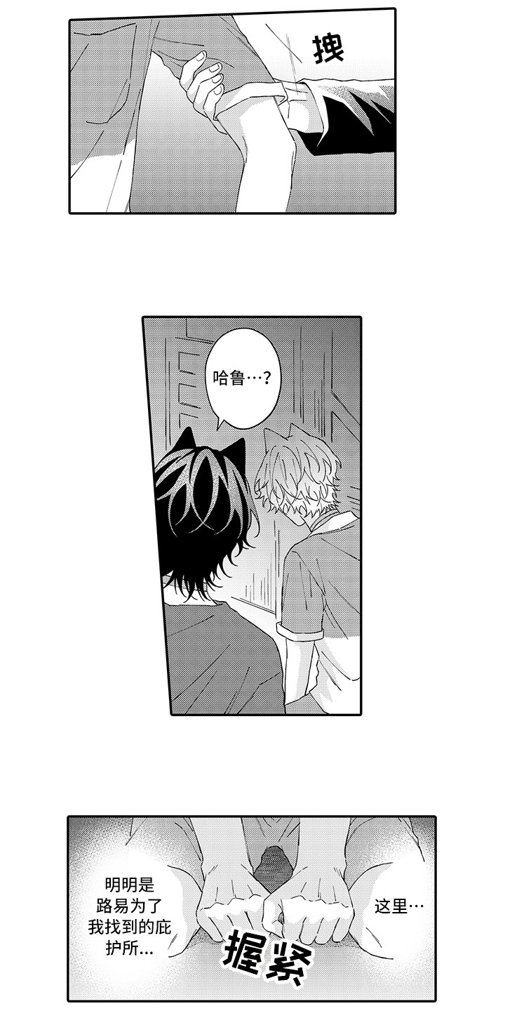 《猫咪之家》第17章保护 第4页