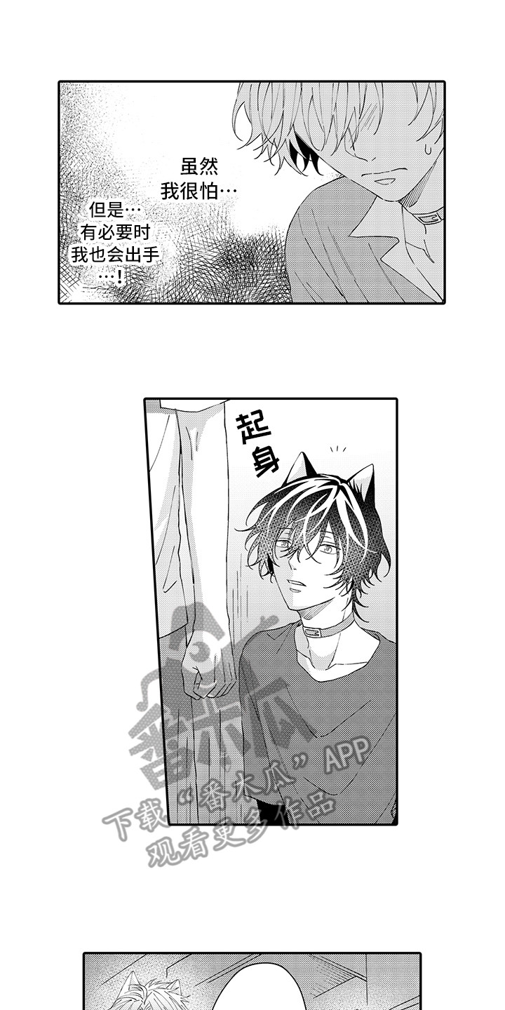 《猫咪之家》第17章保护 第5页