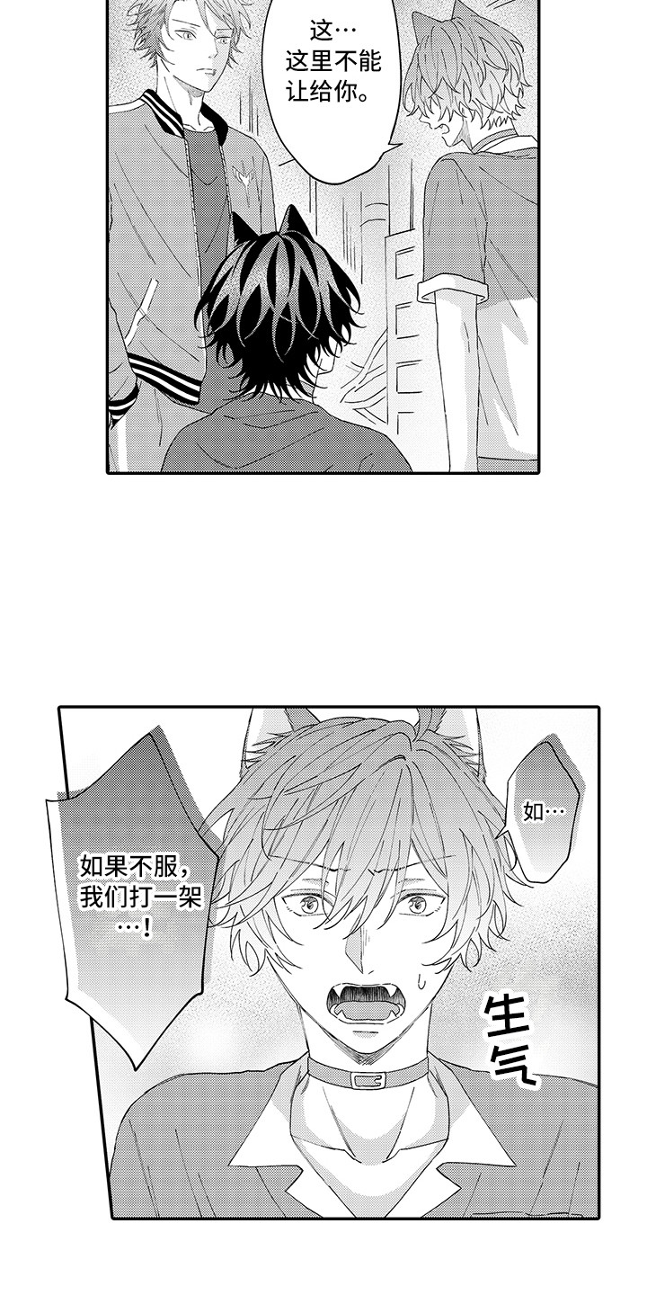 《猫咪之家》第17章保护 第6页