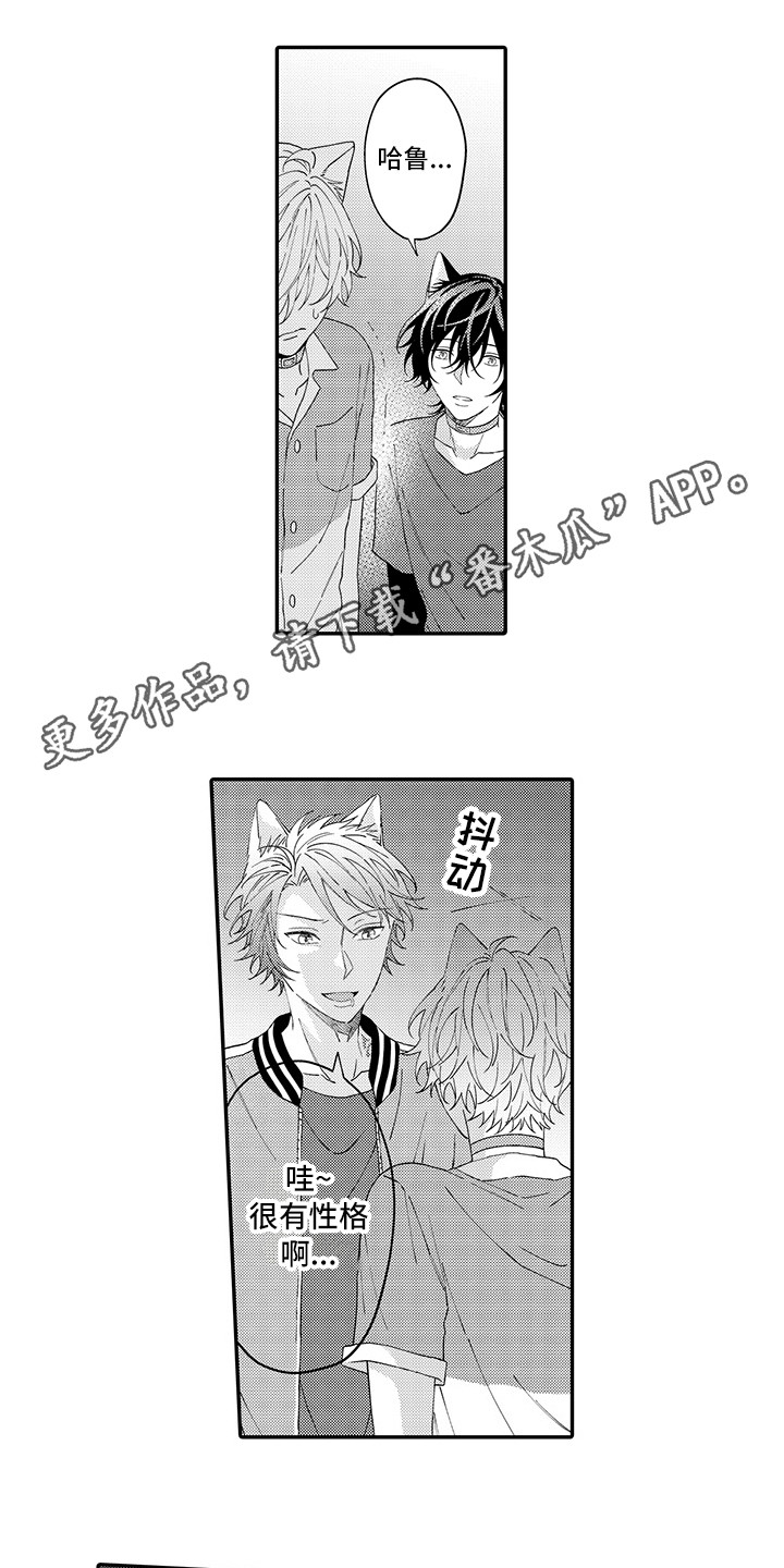 《猫咪之家》第17章保护 第7页