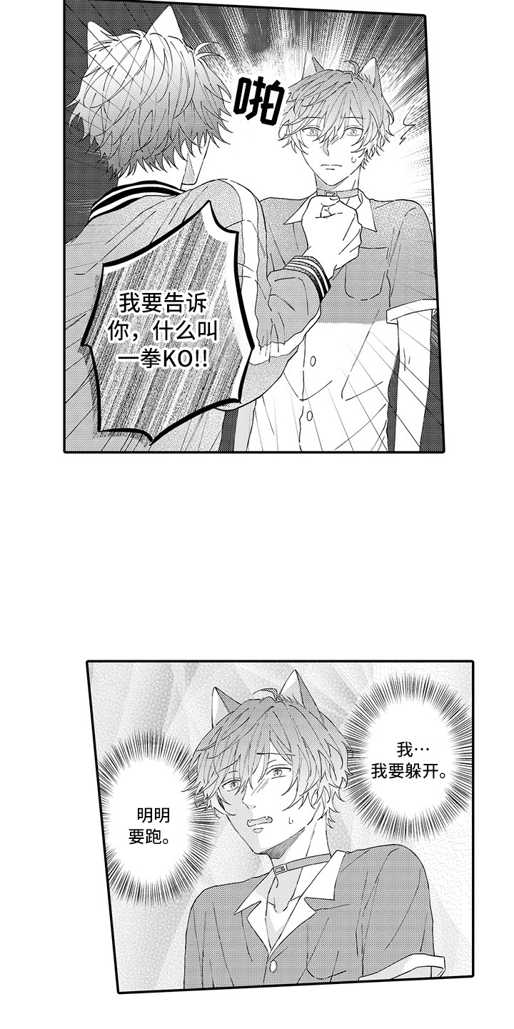 《猫咪之家》第17章保护 第8页
