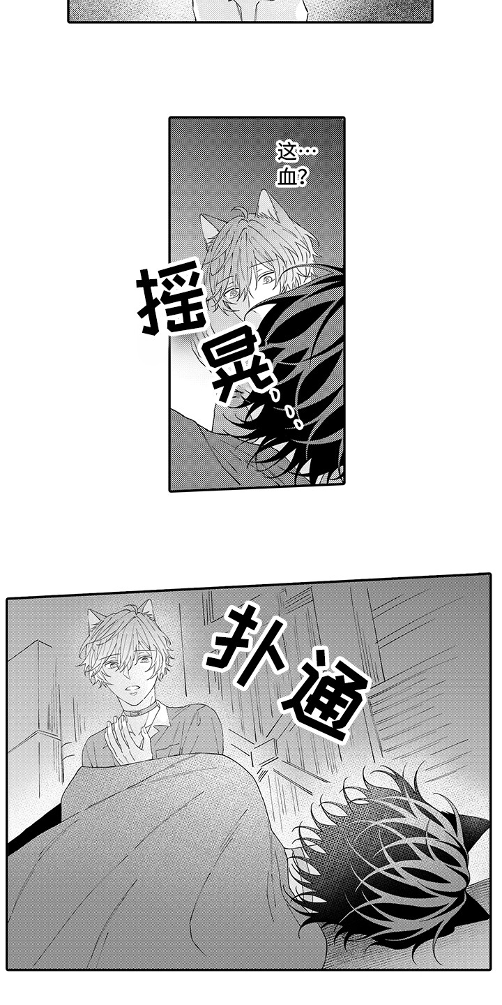 《猫咪之家》第18章受伤了 第10页