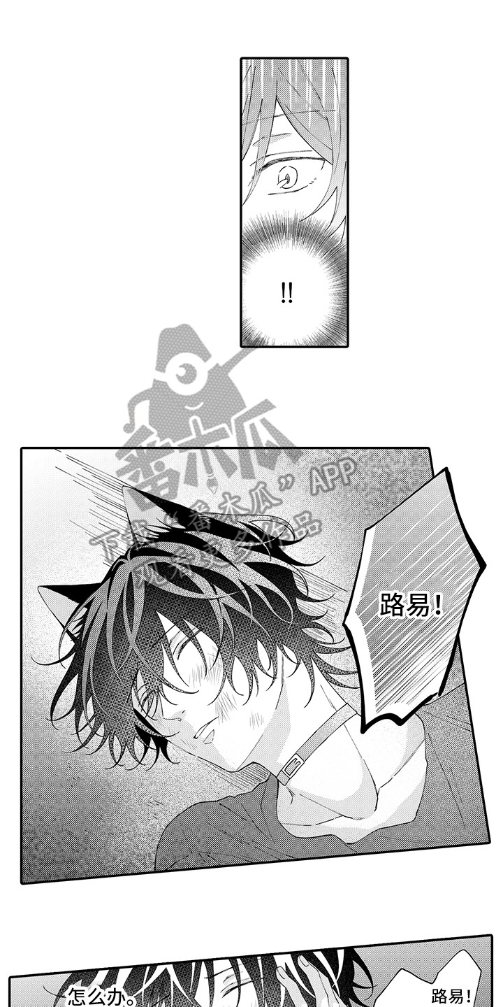 《猫咪之家》第18章受伤了 第11页