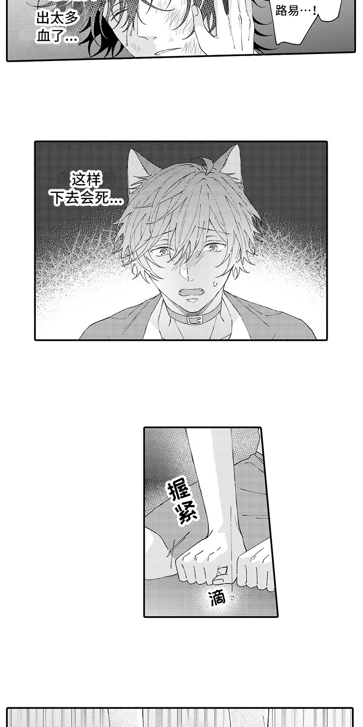 《猫咪之家》第18章受伤了 第12页