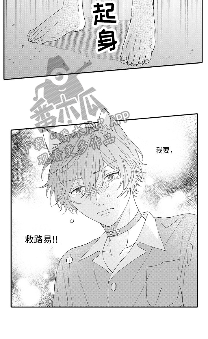 《猫咪之家》第18章受伤了 第13页