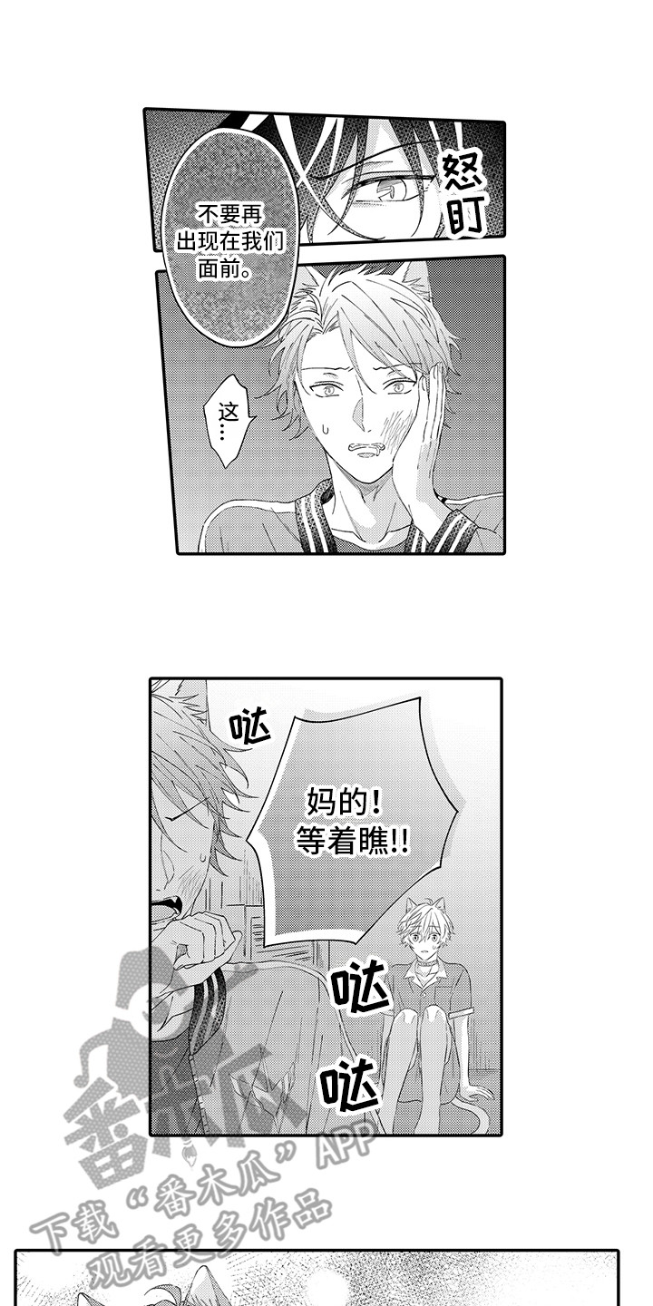 《猫咪之家》第18章受伤了 第1页