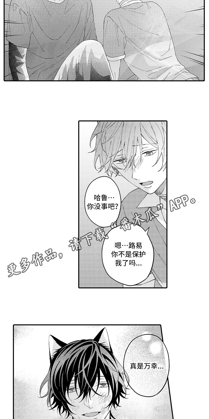 《猫咪之家》第18章受伤了 第3页