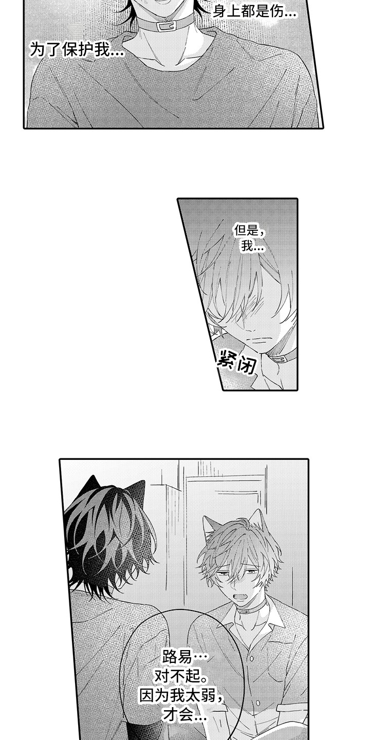 《猫咪之家》第18章受伤了 第4页