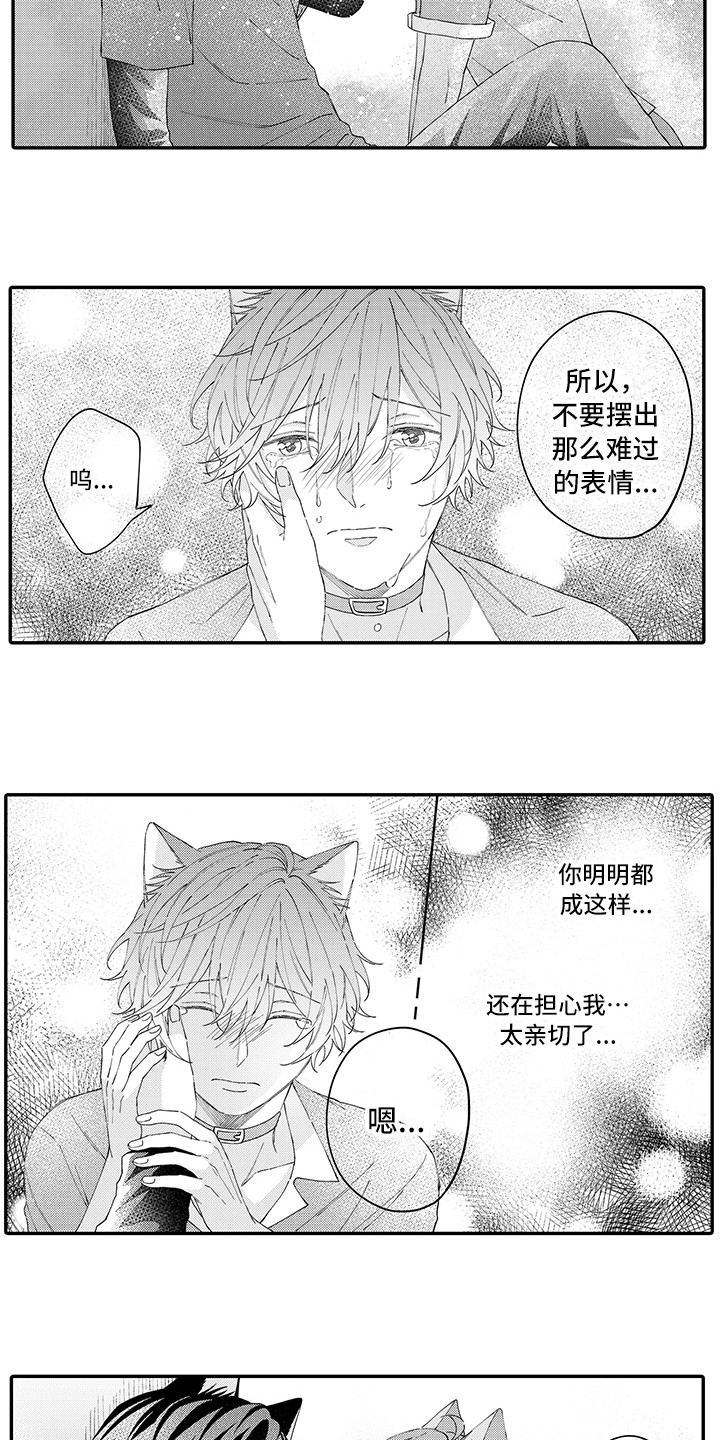 《猫咪之家》第18章受伤了 第6页