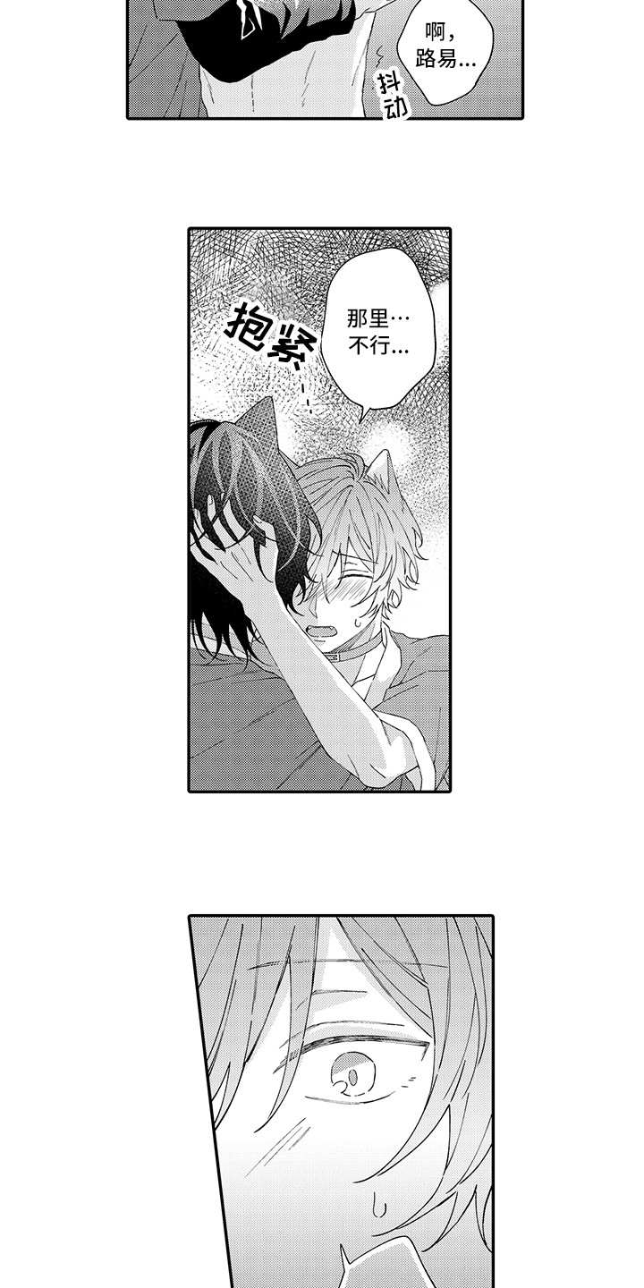 《猫咪之家》第18章受伤了 第8页