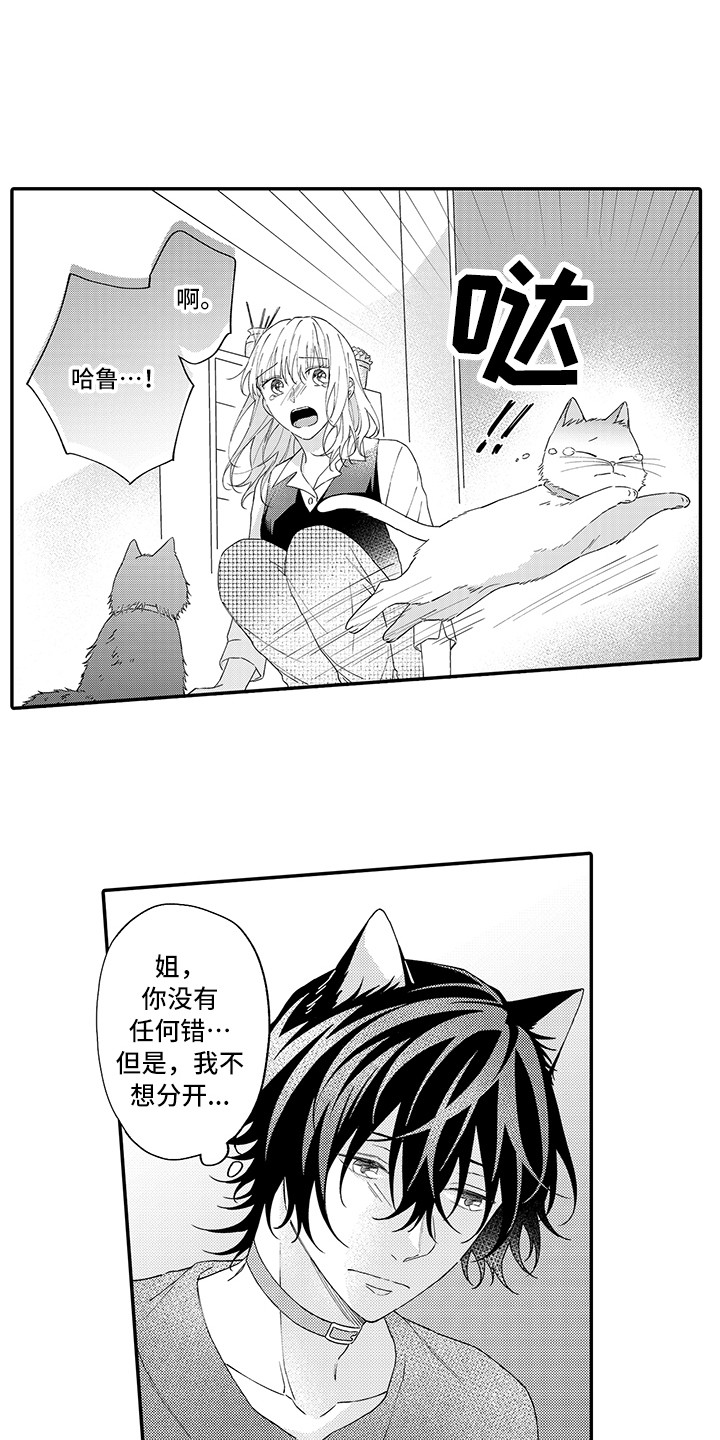 《猫咪之家》第15章坏消息 第10页