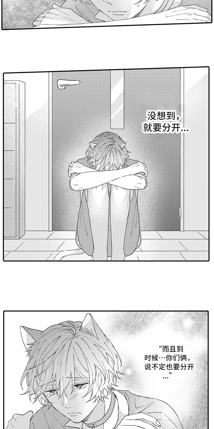 《猫咪之家》第15章坏消息 第12页