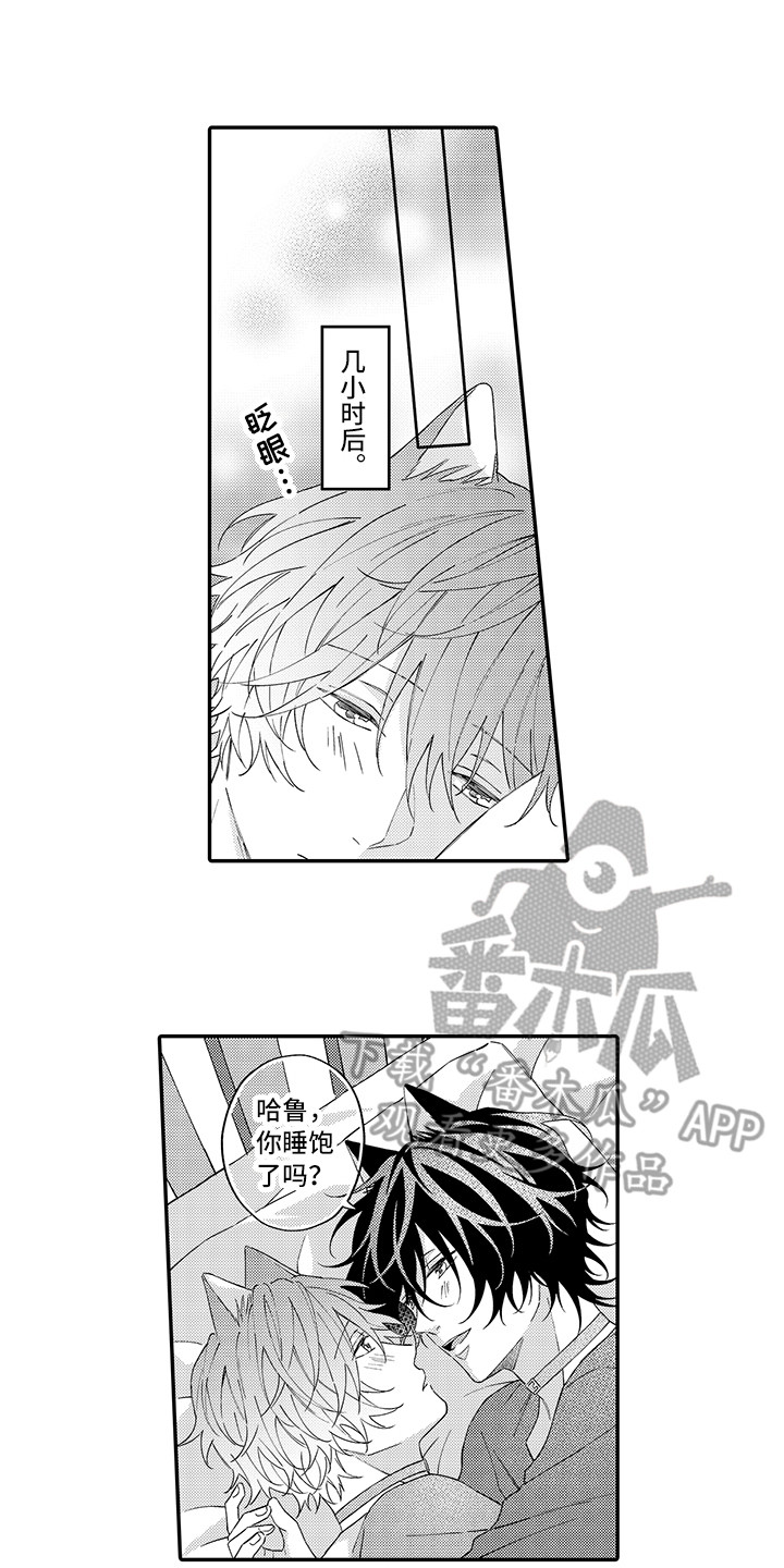 《猫咪之家》第15章坏消息 第1页