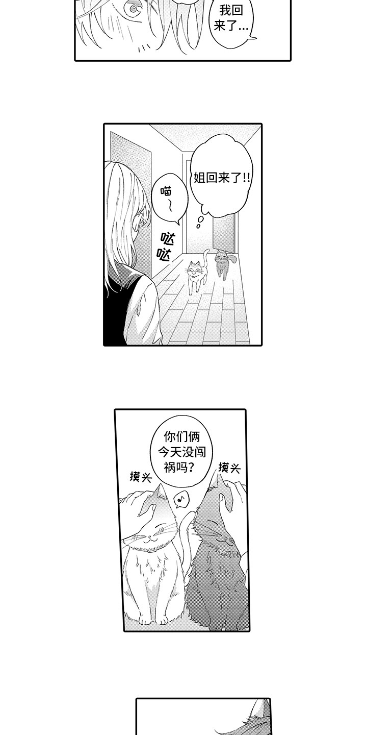 《猫咪之家》第15章坏消息 第4页
