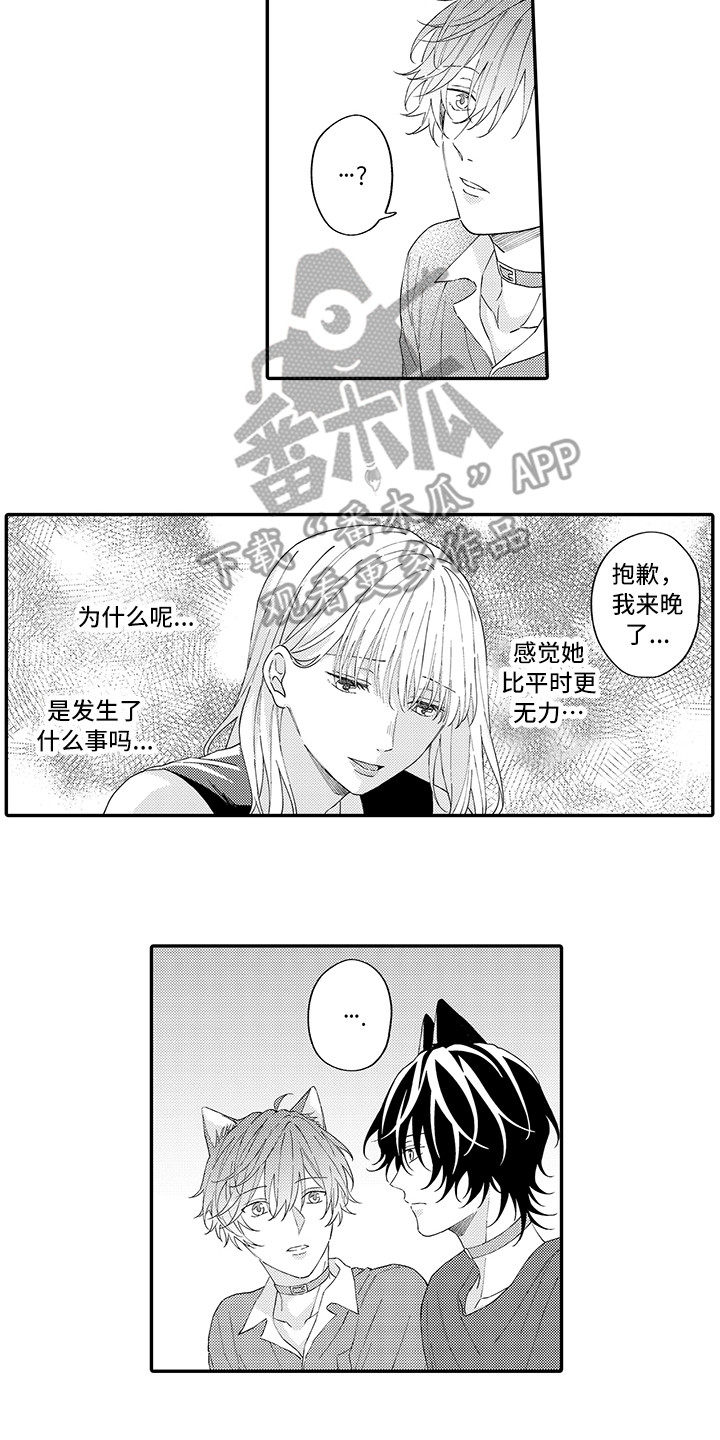 《猫咪之家》第15章坏消息 第5页
