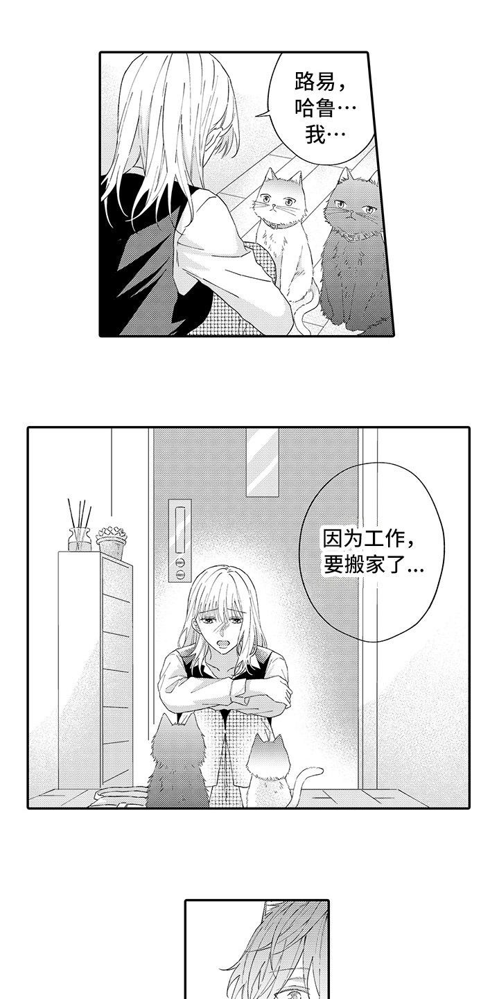 《猫咪之家》第15章坏消息 第6页