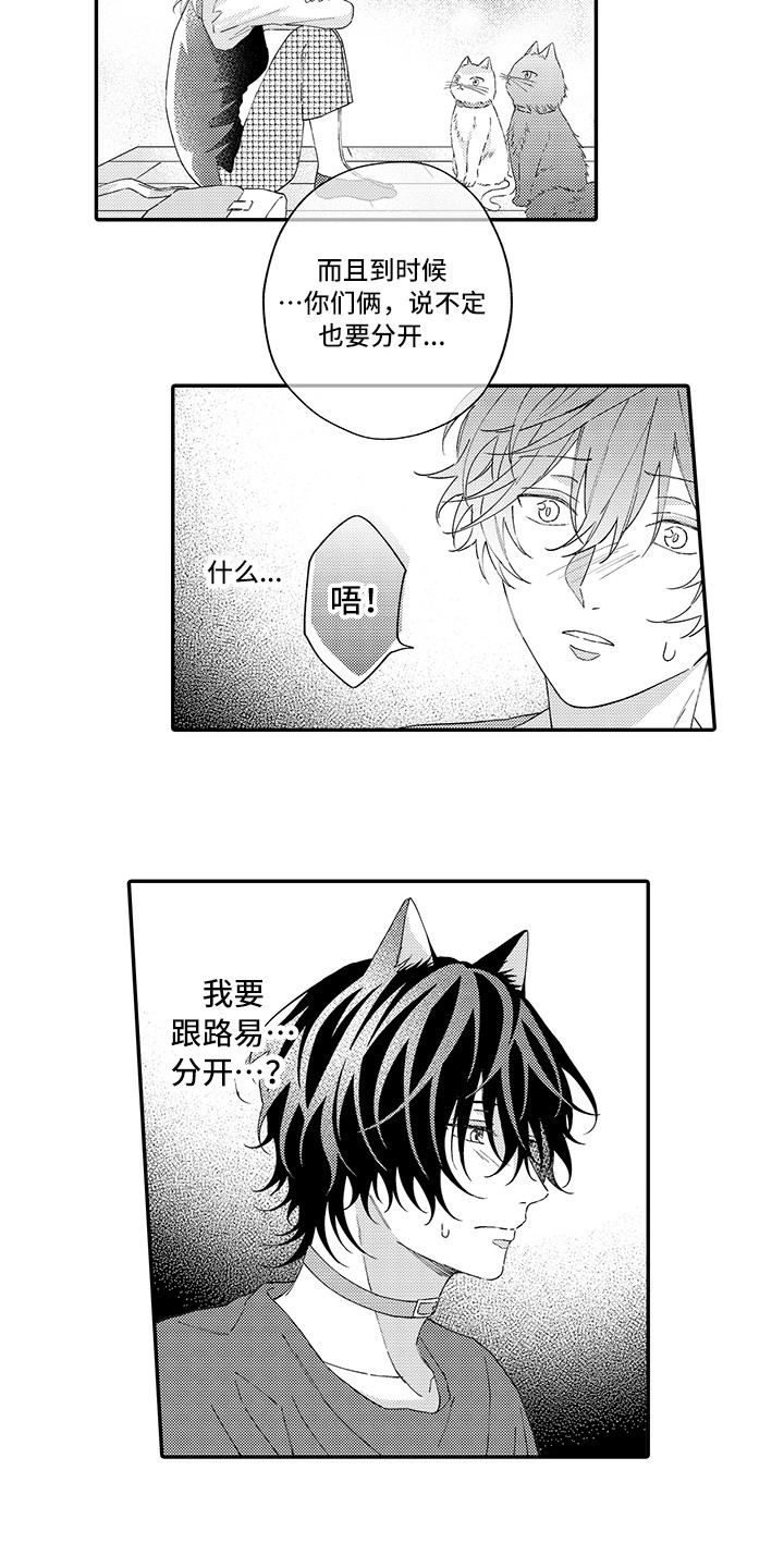 《猫咪之家》第15章坏消息 第8页