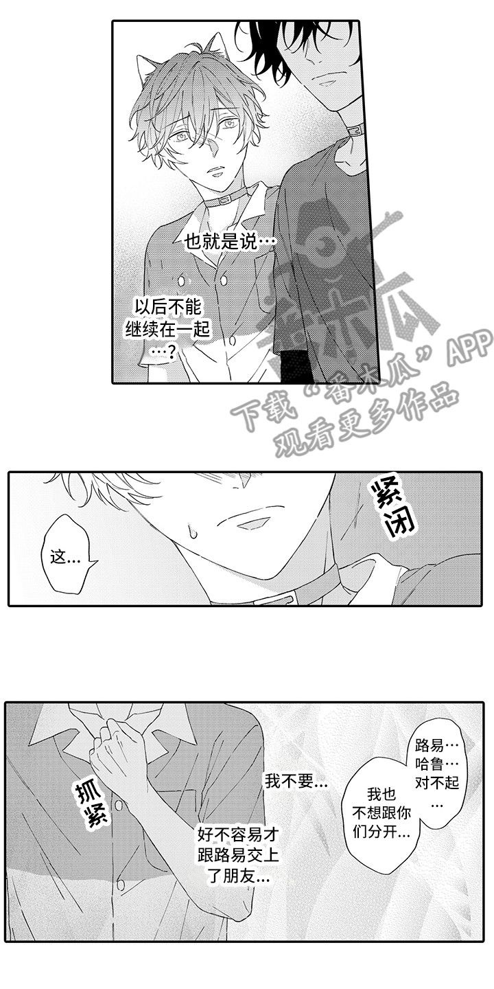 《猫咪之家》第15章坏消息 第9页