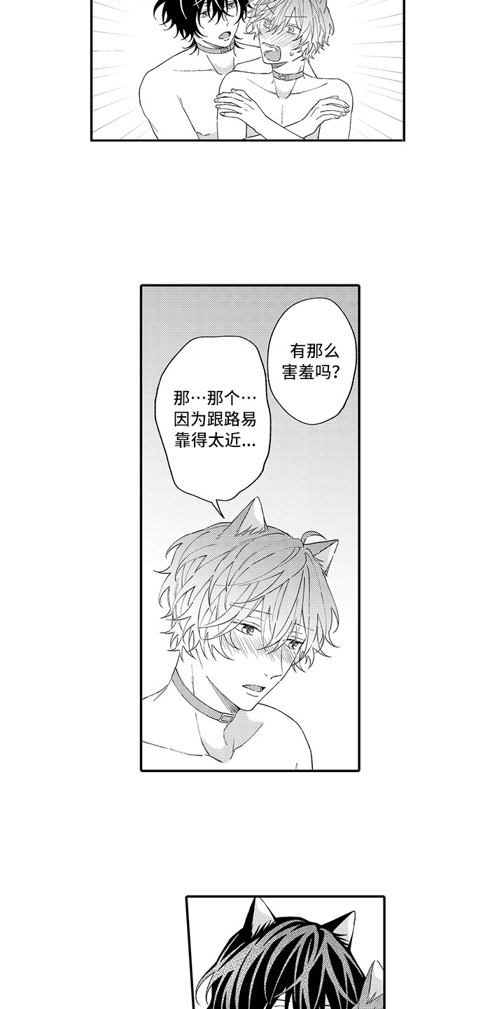 《猫咪之家》第12章怕水 第10页
