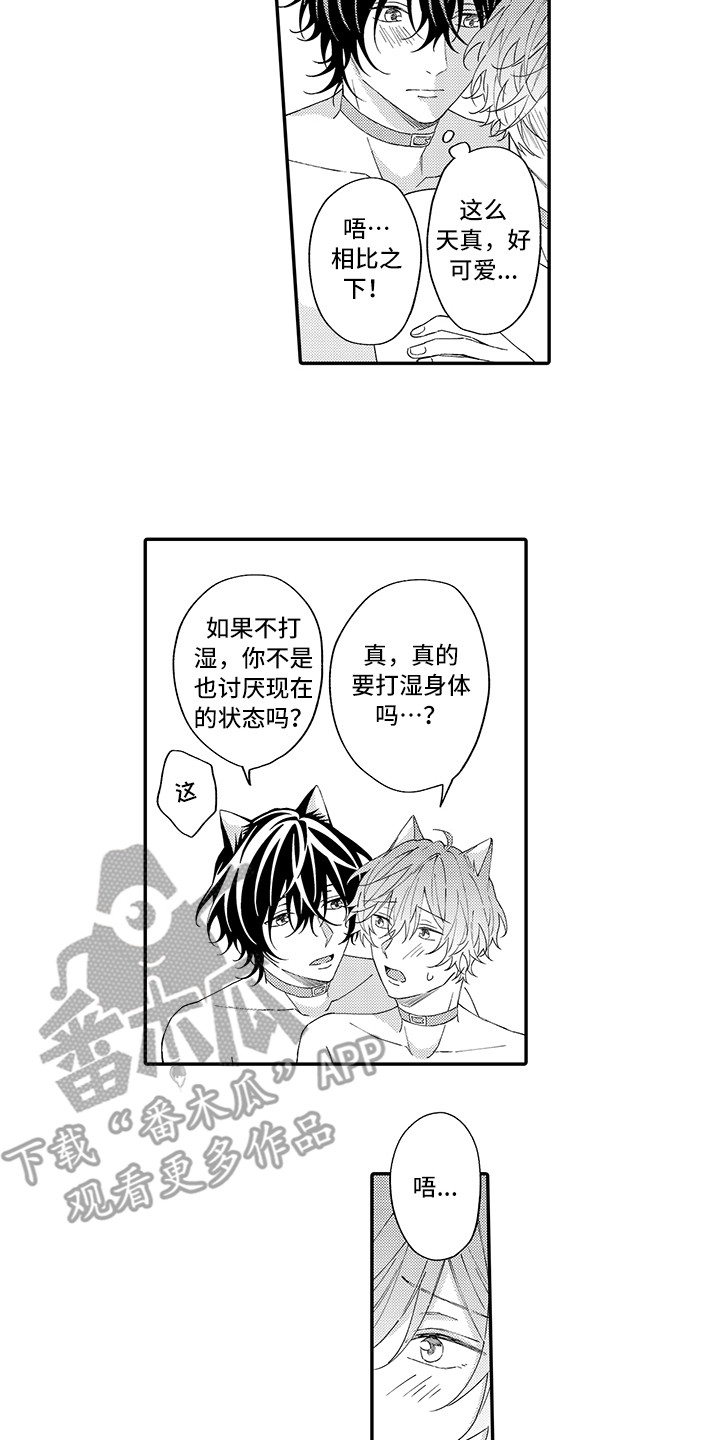 《猫咪之家》第12章怕水 第11页