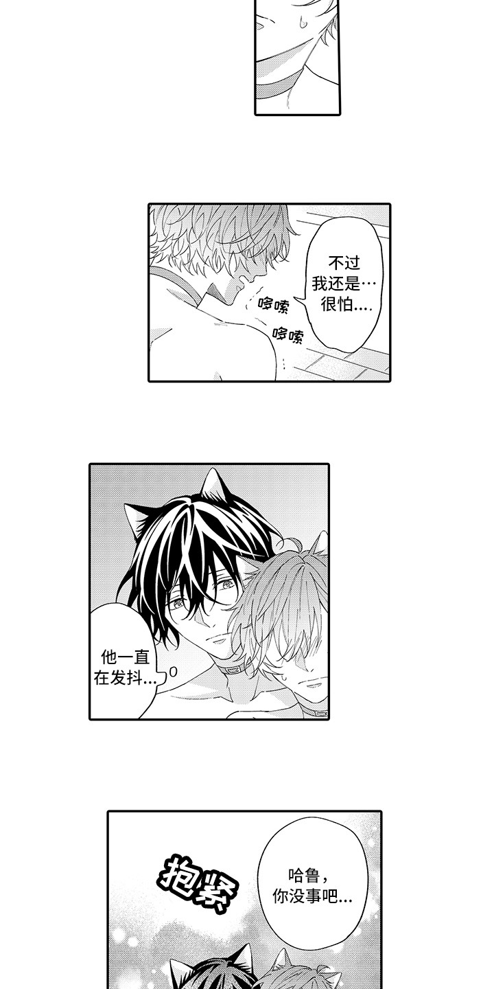 《猫咪之家》第12章怕水 第12页