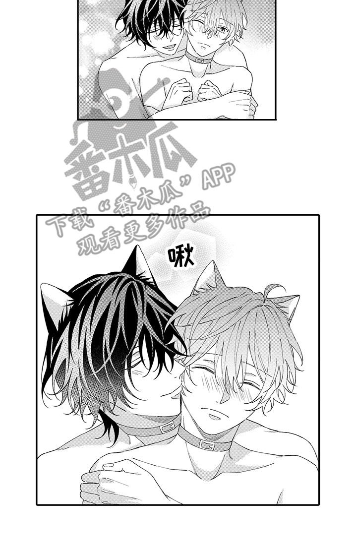 《猫咪之家》第12章怕水 第13页