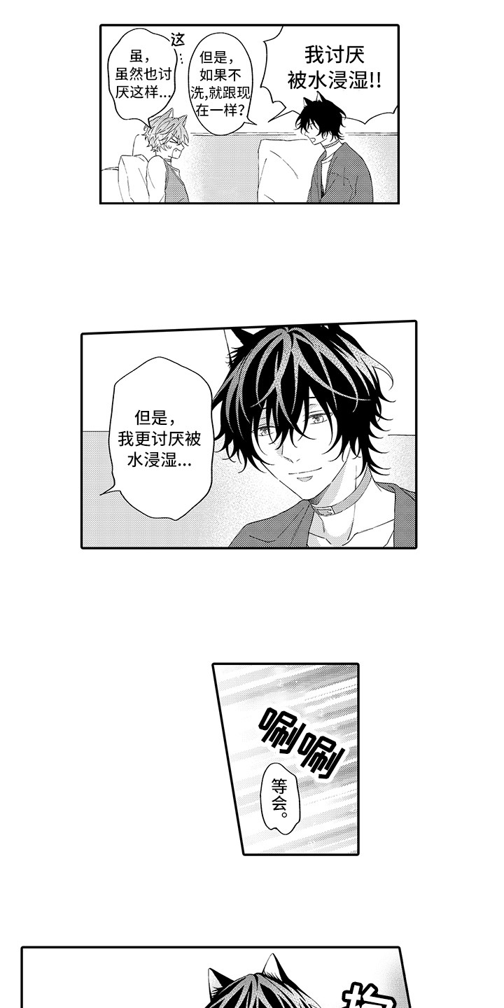 《猫咪之家》第12章怕水 第6页