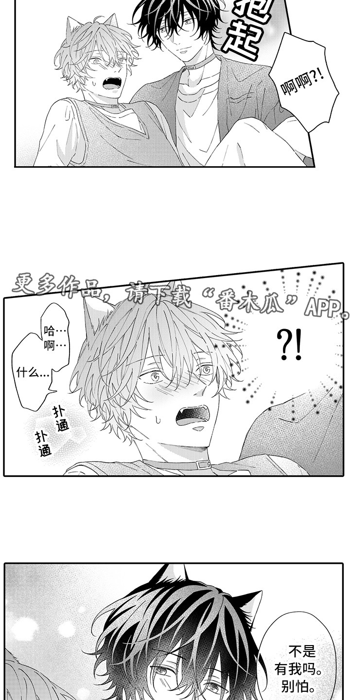 《猫咪之家》第12章怕水 第7页