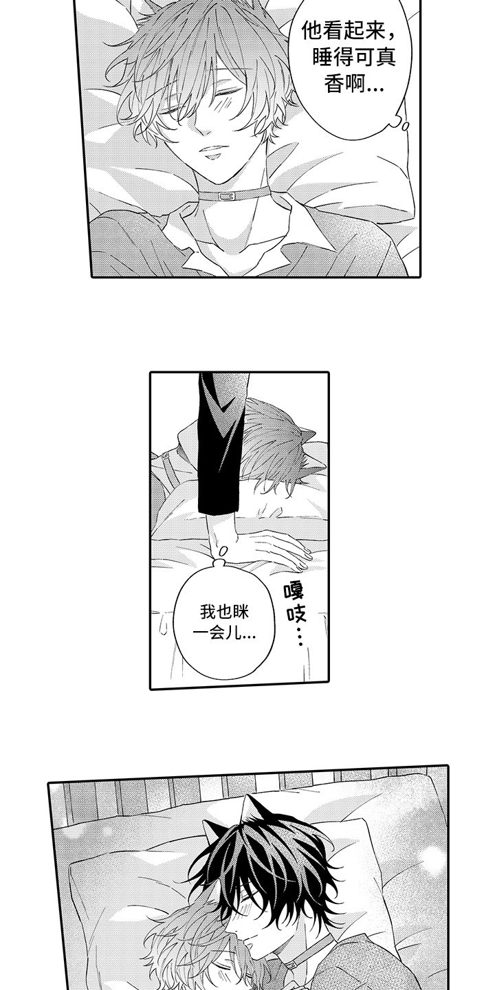 《猫咪之家》第14章睡着了 第12页