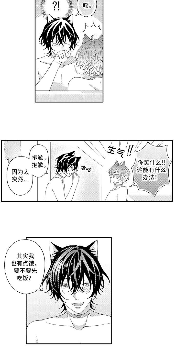 《猫咪之家》第14章睡着了 第2页