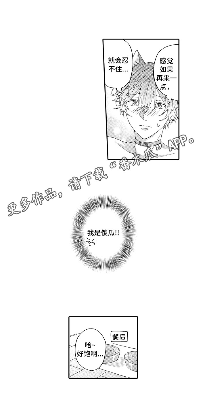 《猫咪之家》第14章睡着了 第3页