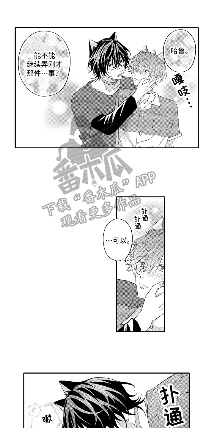《猫咪之家》第14章睡着了 第5页