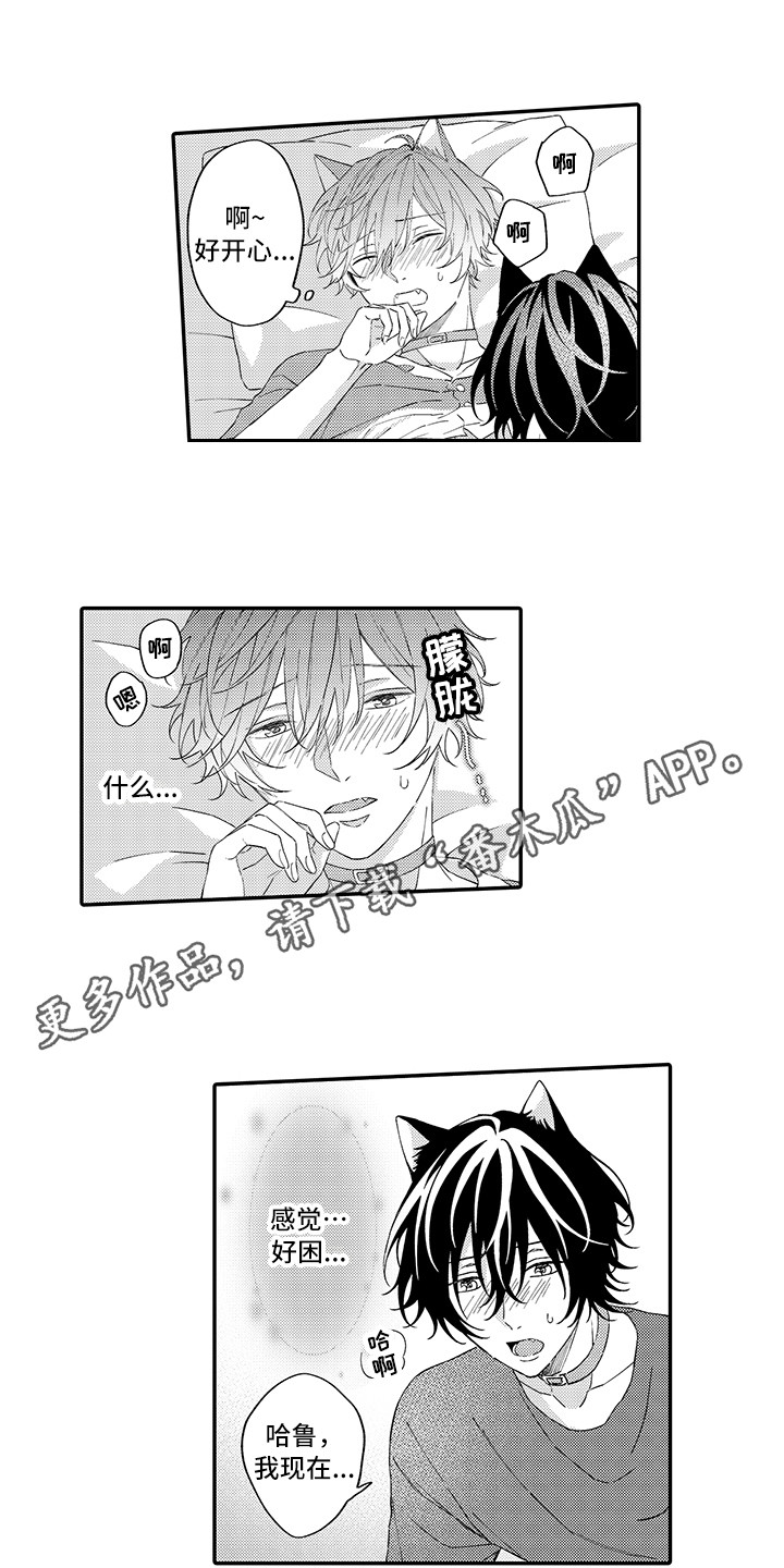 《猫咪之家》第14章睡着了 第7页