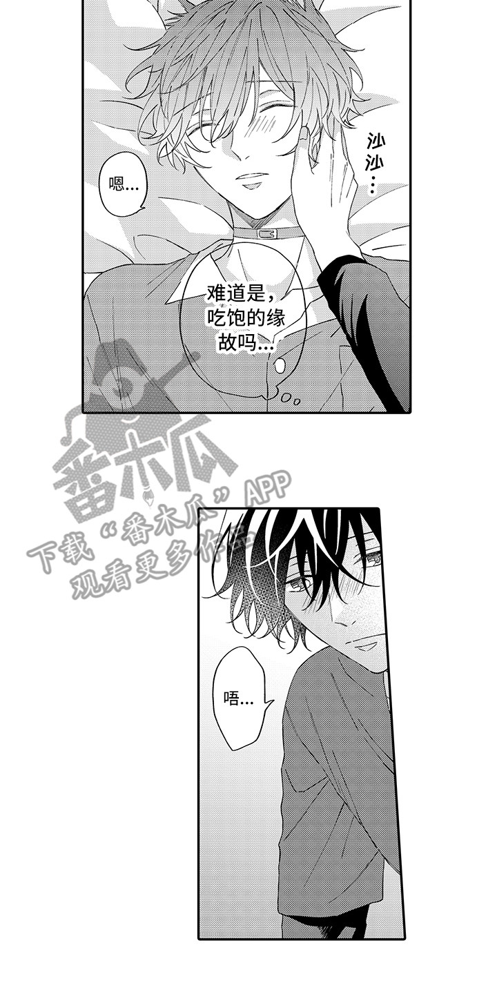 《猫咪之家》第14章睡着了 第9页
