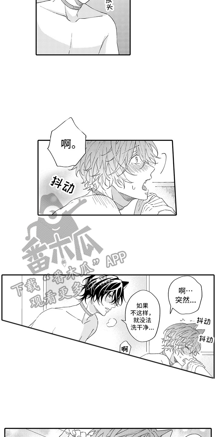 《猫咪之家》第13章洗一洗 第11页