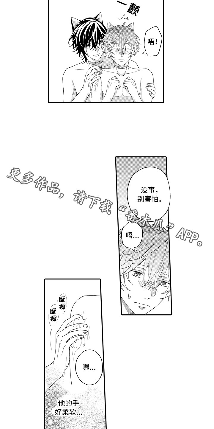 《猫咪之家》第13章洗一洗 第3页