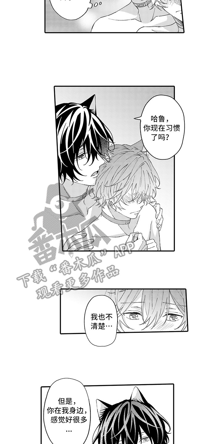 《猫咪之家》第13章洗一洗 第5页