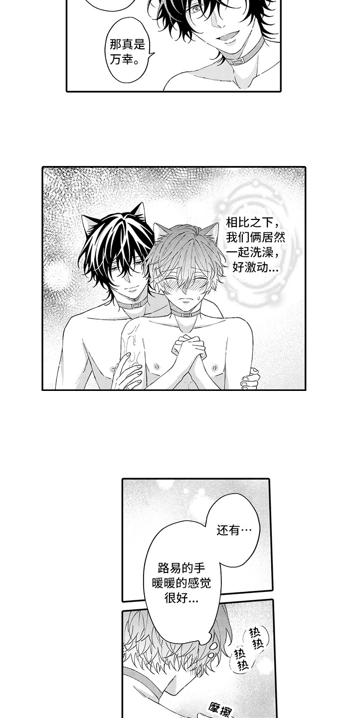 《猫咪之家》第13章洗一洗 第6页