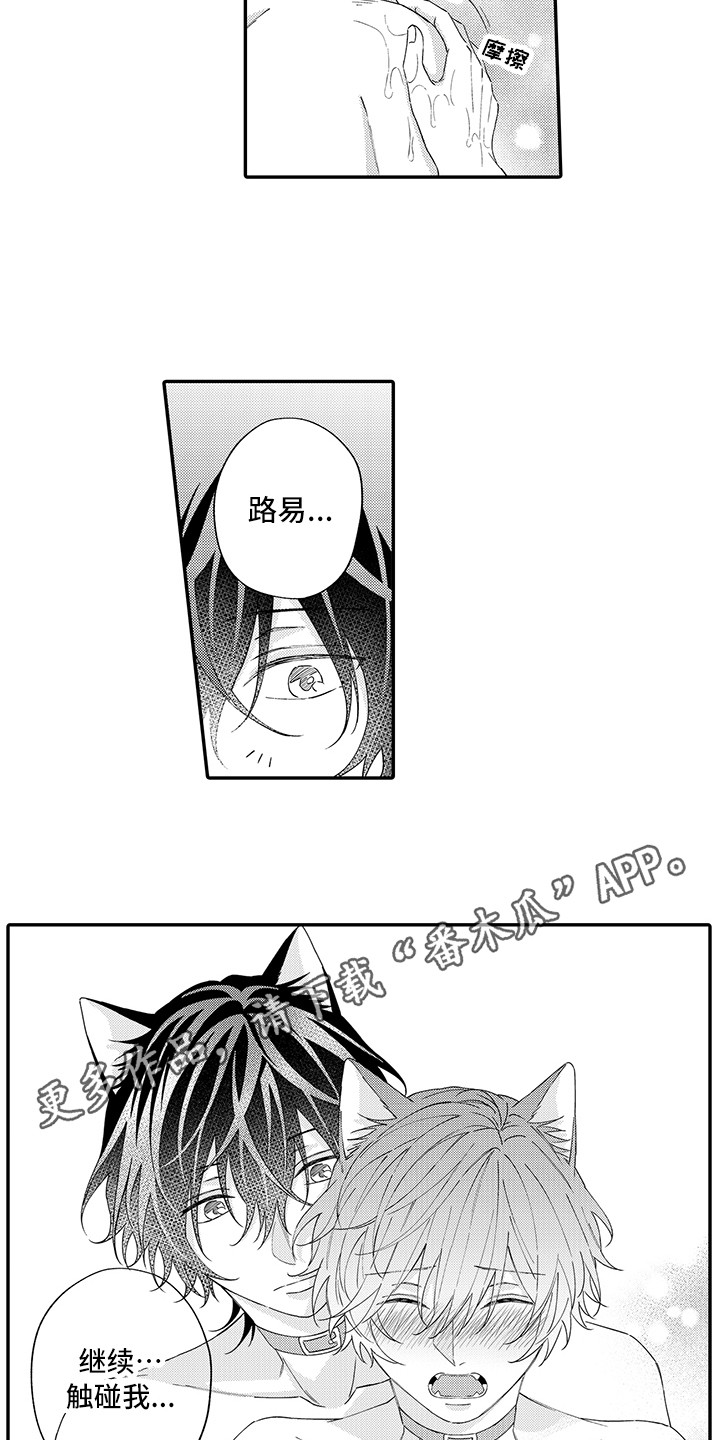 《猫咪之家》第13章洗一洗 第7页