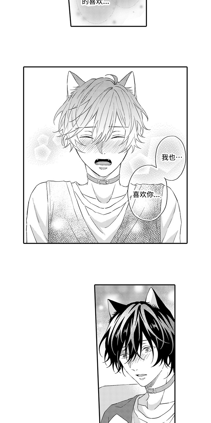 《猫咪之家》第10章表白 第10页