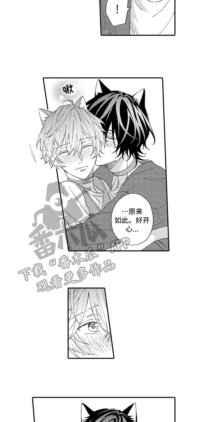 《猫咪之家》第10章表白 第11页