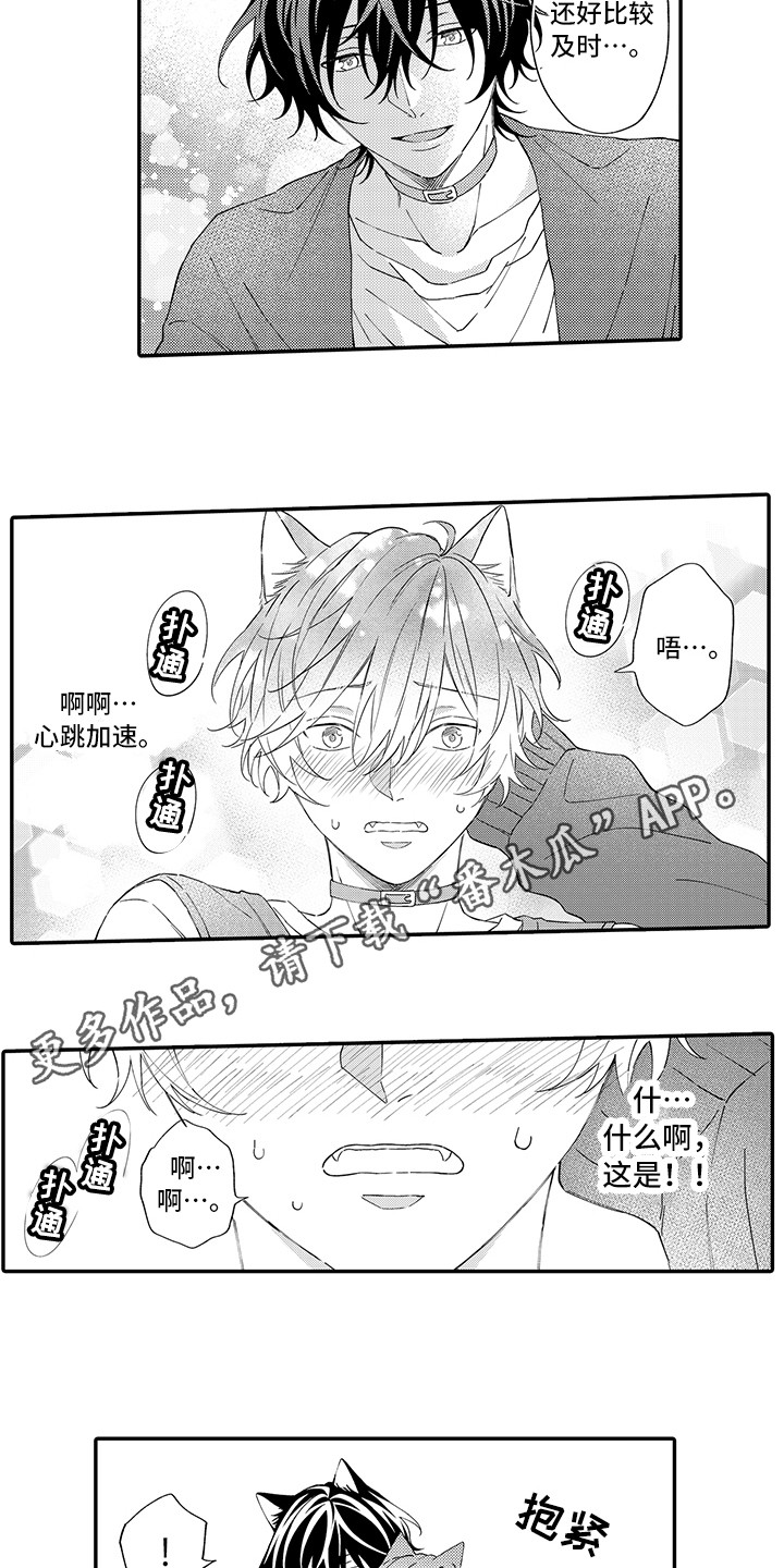 《猫咪之家》第10章表白 第3页