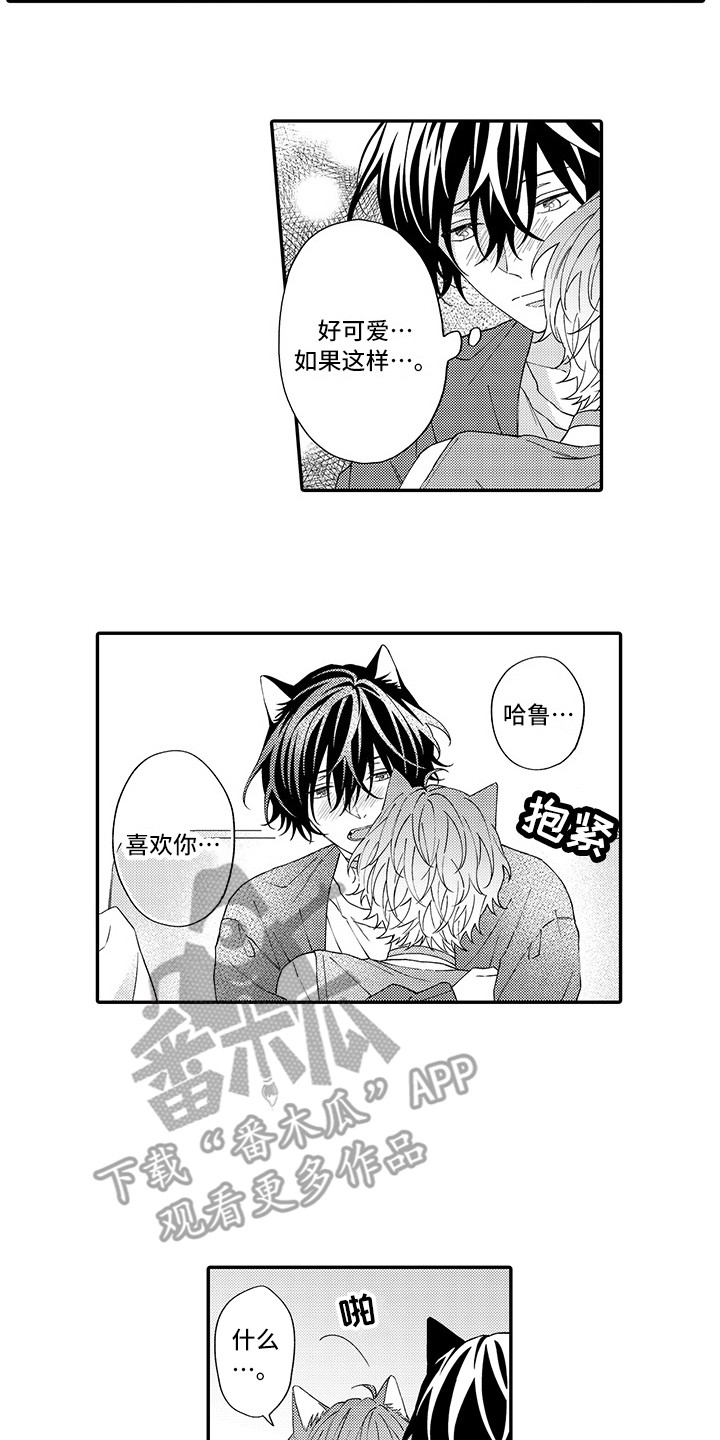 《猫咪之家》第10章表白 第5页